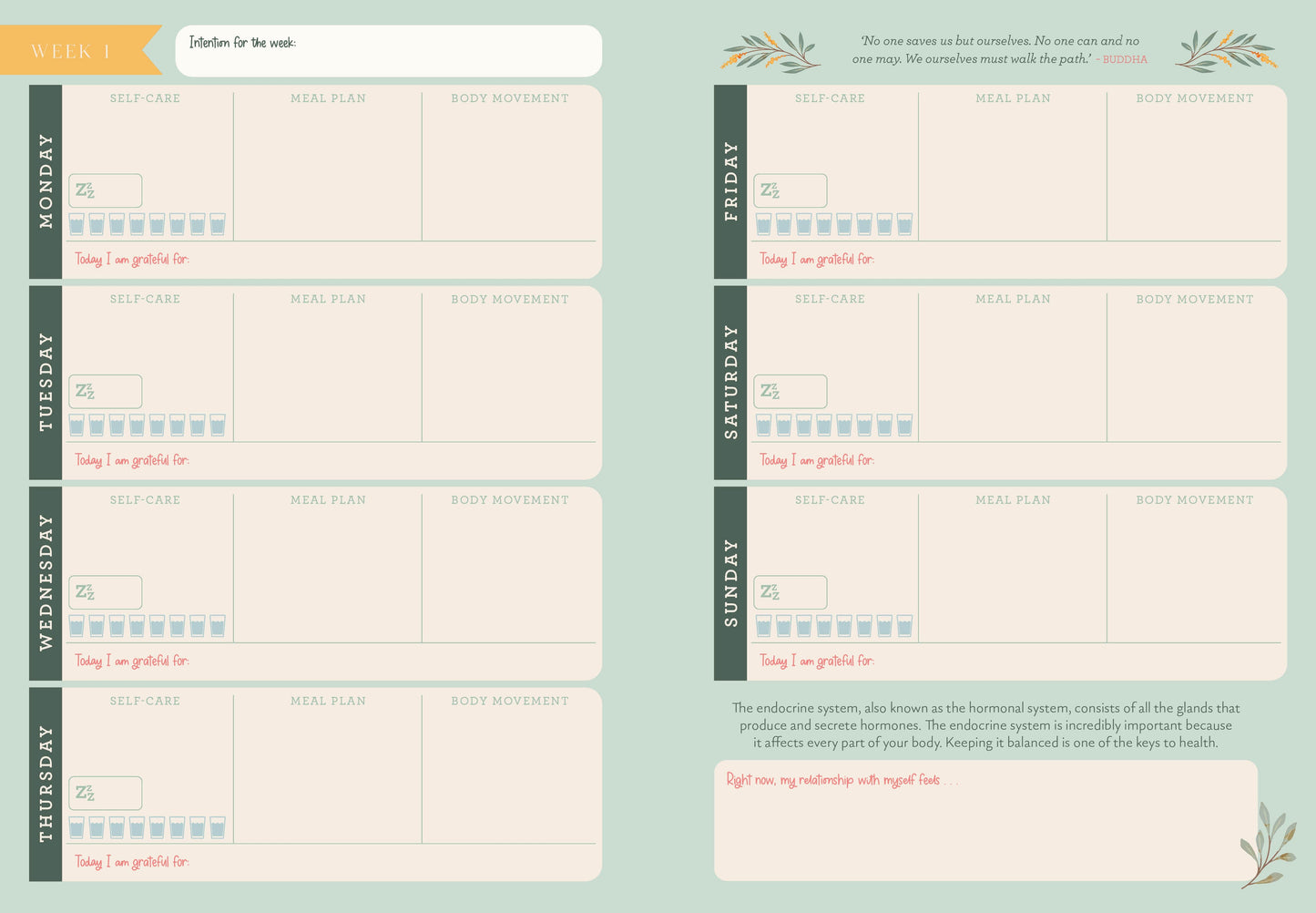 My Wellness Journal