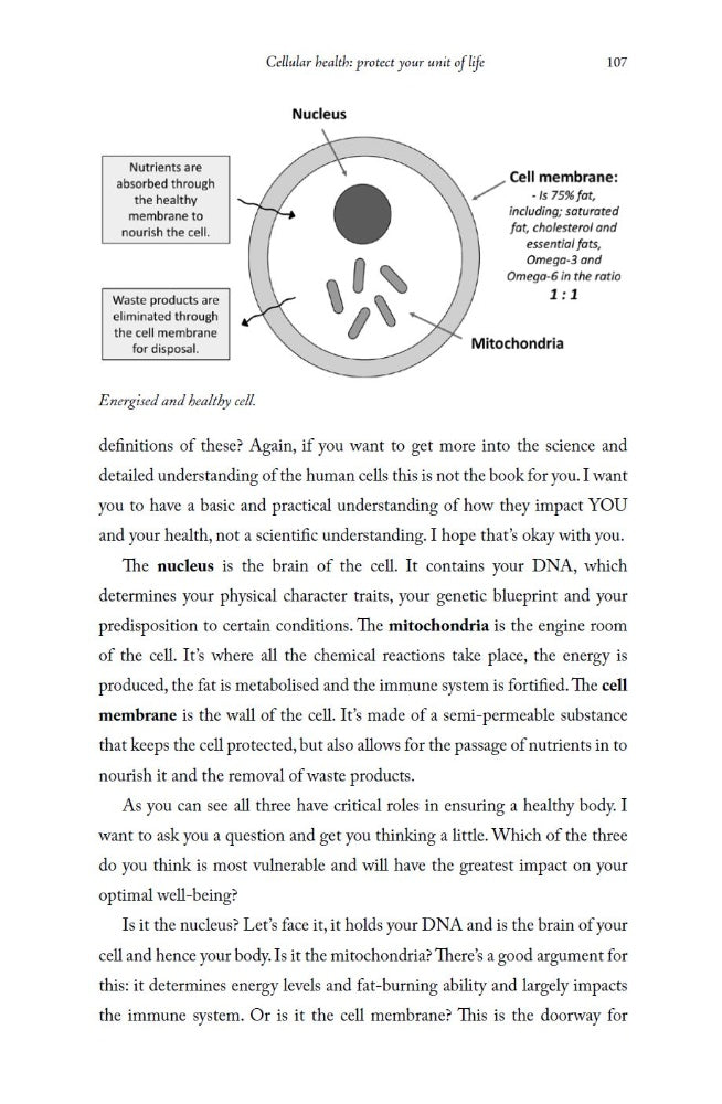 The Wellness Puzzle