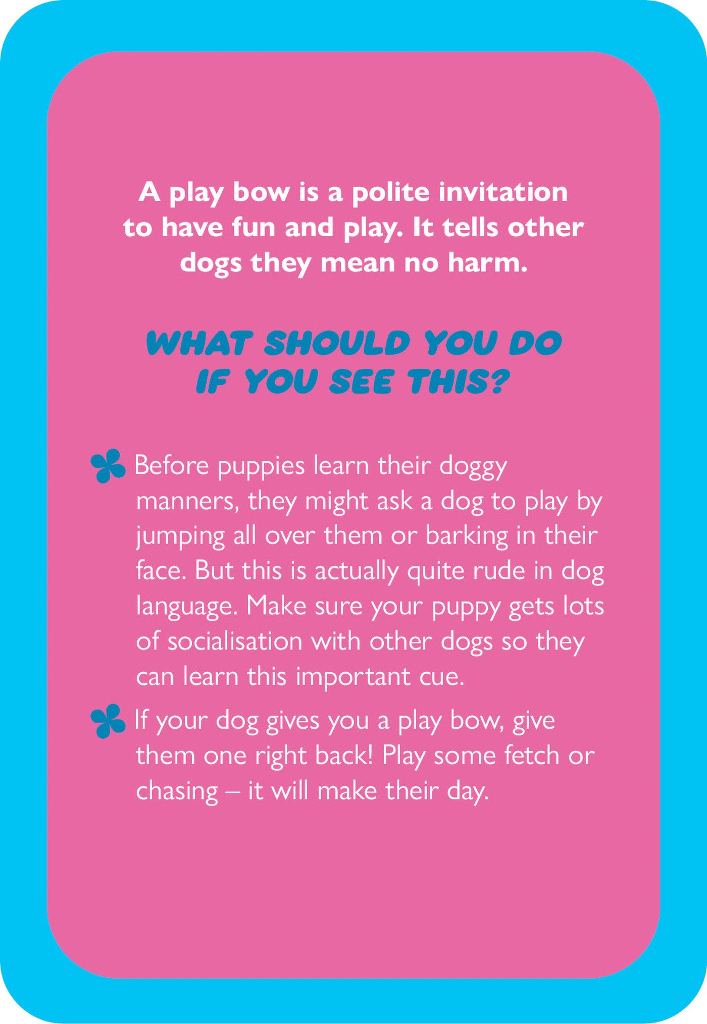 Educational card about dog behavior with text on a pink background