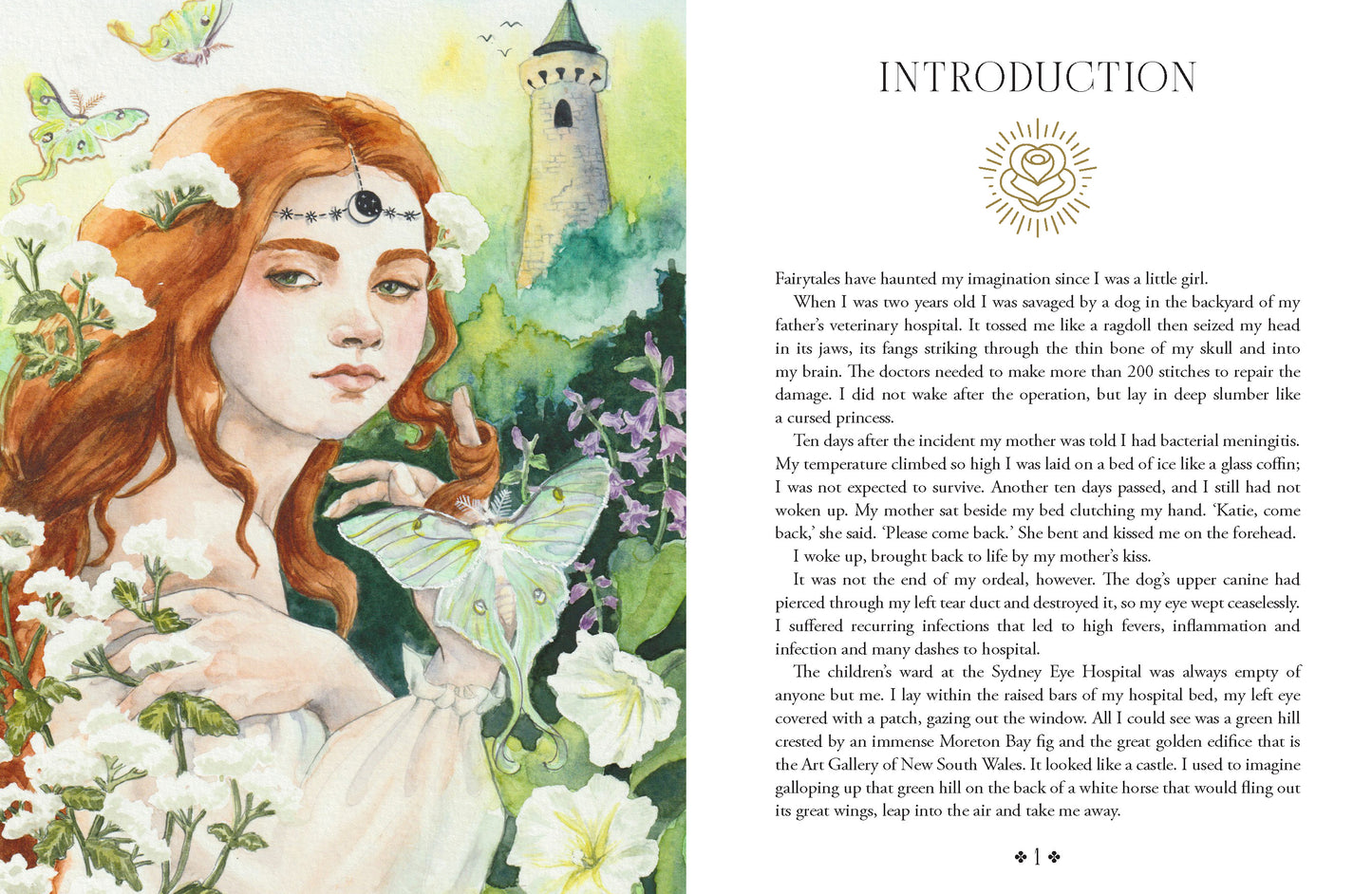 Illustrated fairy with red hair and butterfly wings on a book page with text.
