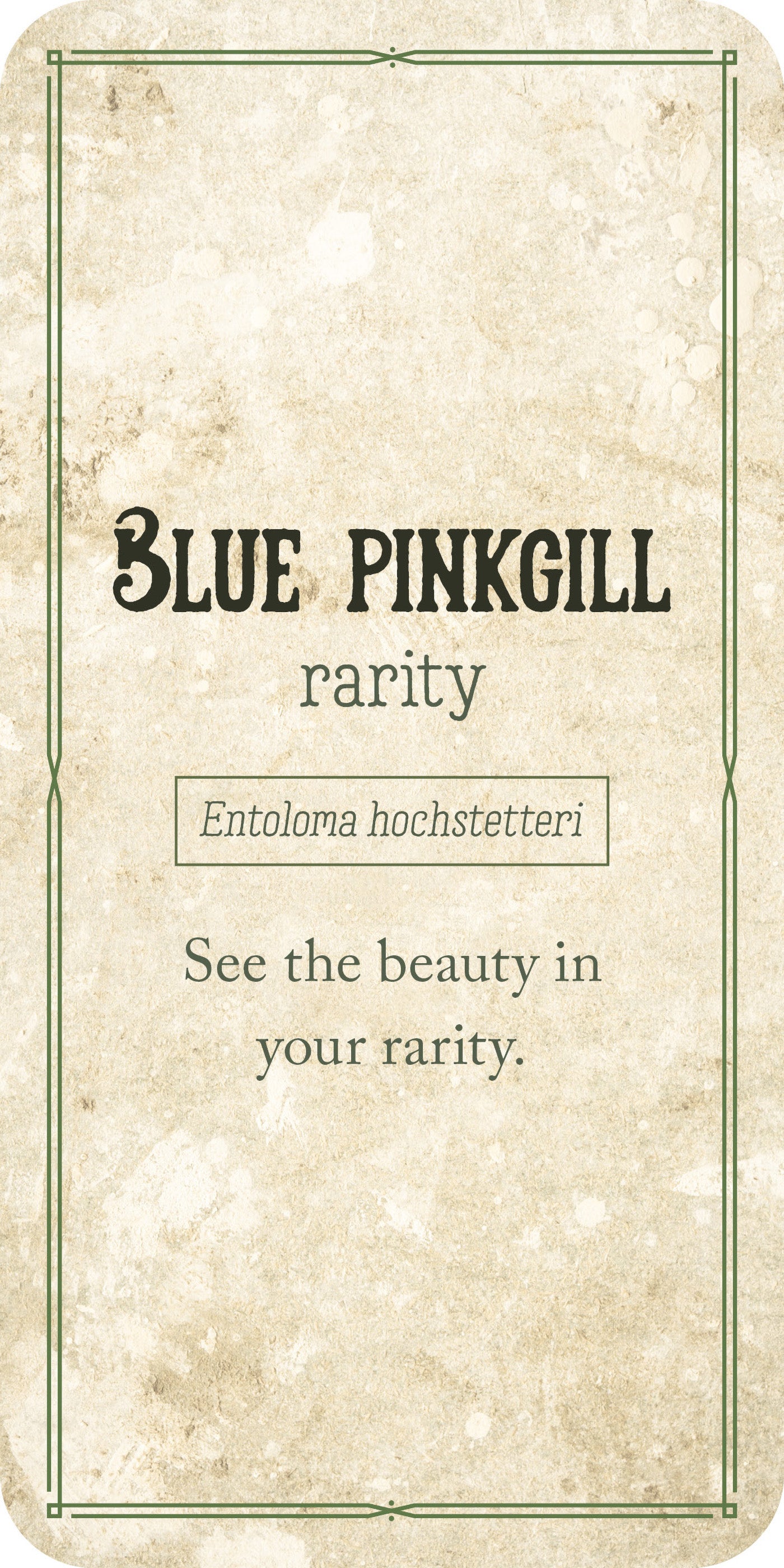 Card with 'Blue Pinkgill' text and branding on a textured background