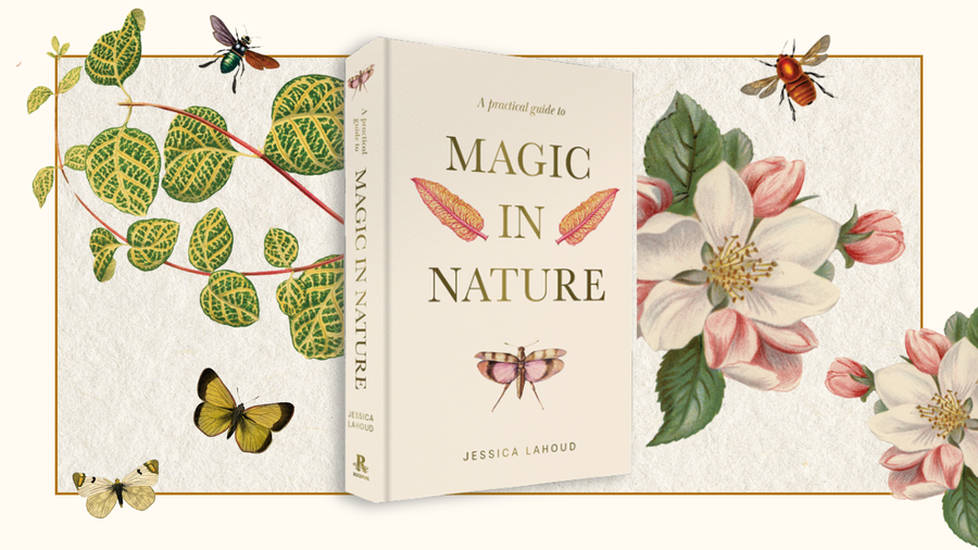 Everyday Magic with A Practical Guide to Magic in Nature: Rituals Rooted in the Natural World