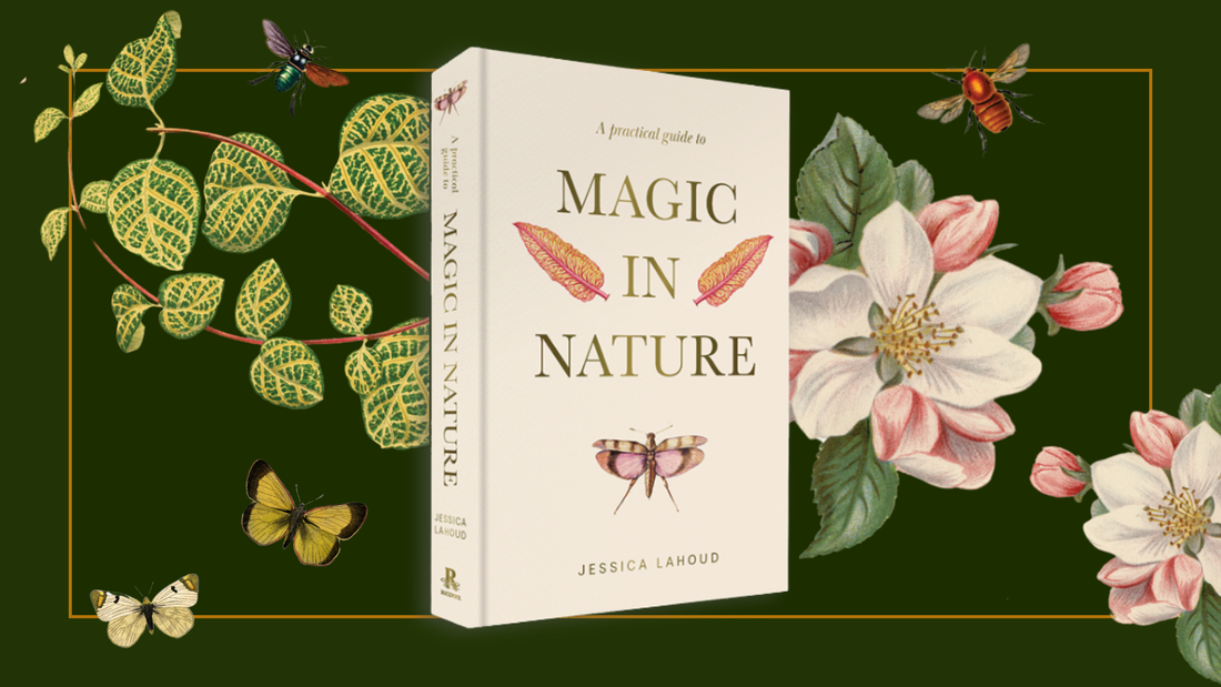 The Magic of Nature Revealed: Reviewing A Practical Guide to Magic in Nature by Jessica Lahoud