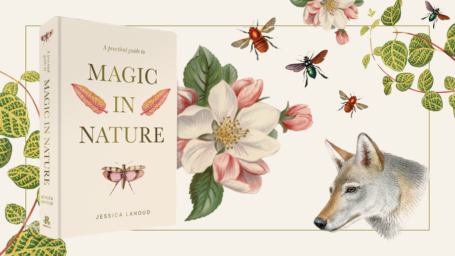 A Deep Dive into Jessica Lahoud's A Practical Guide to Magic in Nature