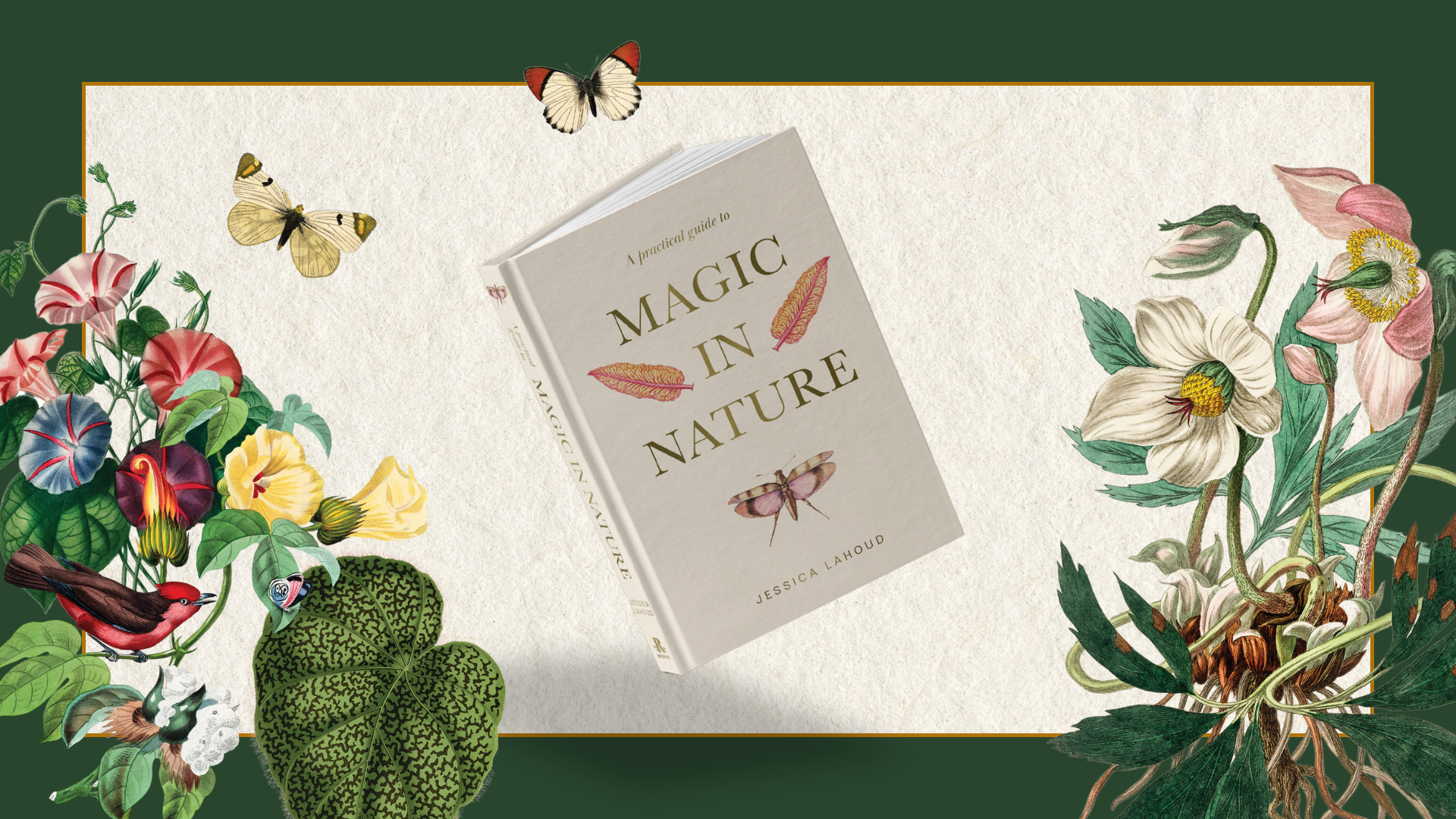 Everyday Magic with A Practical Guide to Magic in Nature: Rituals Rooted in the Natural World