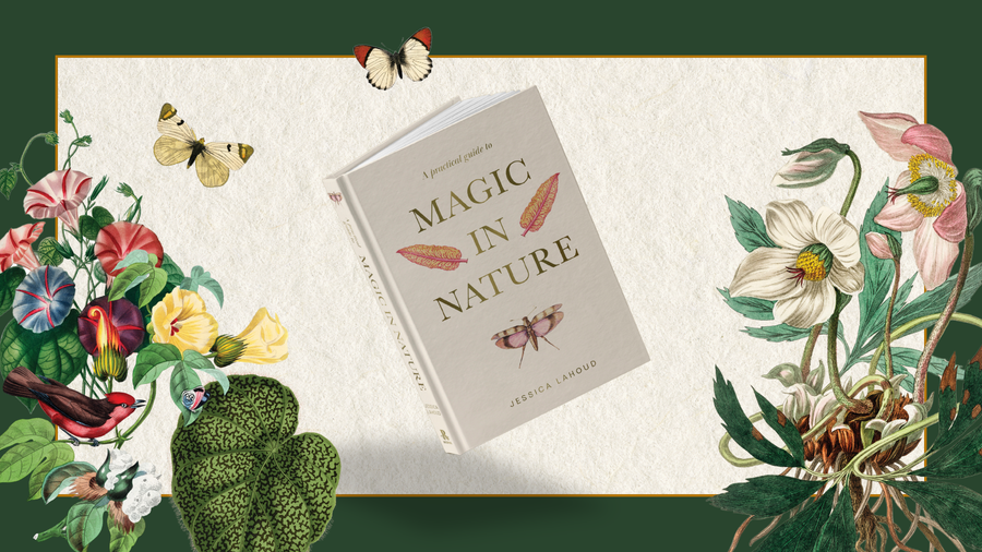 Everyday Magic with A Practical Guide to Magic in Nature: Rituals Rooted in the Natural World