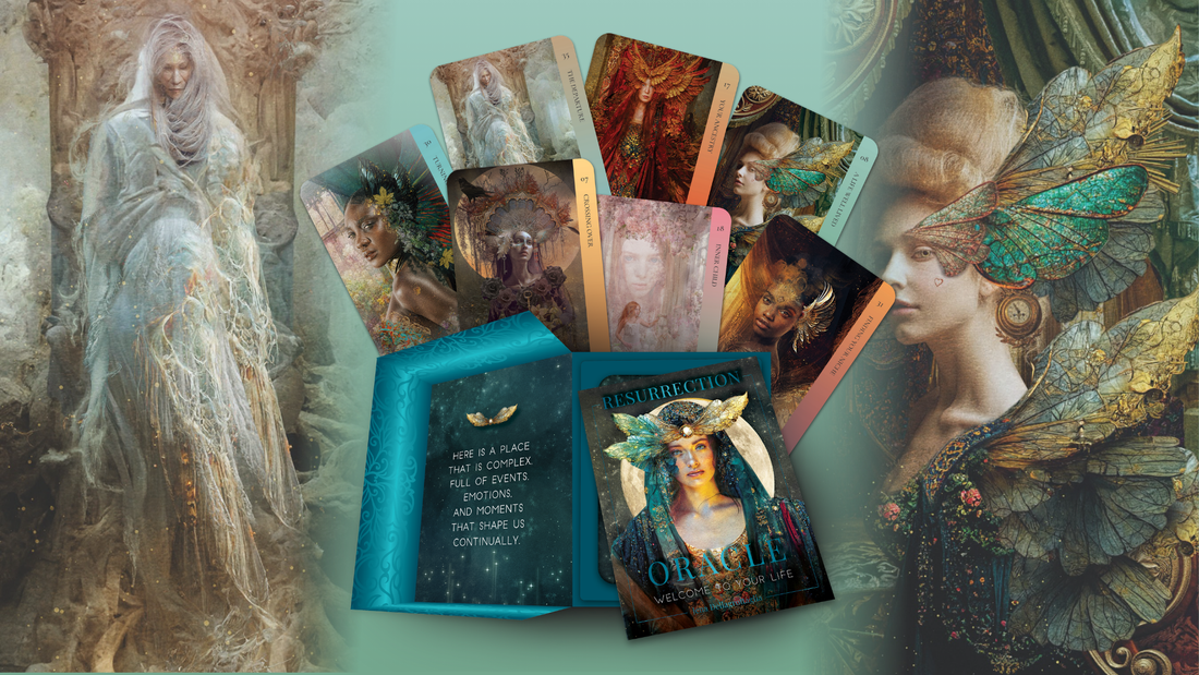 Rockpool Publishing Collection Review