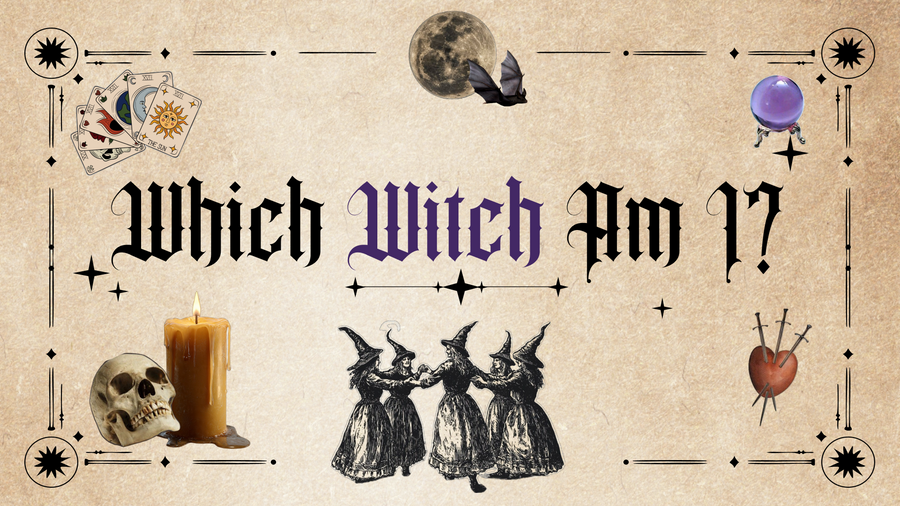 Which Witch Am I?: Your Guide to 13 Types of Witches