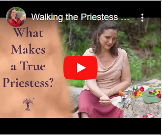 Review of the Priestess Path by Wendy Stokes