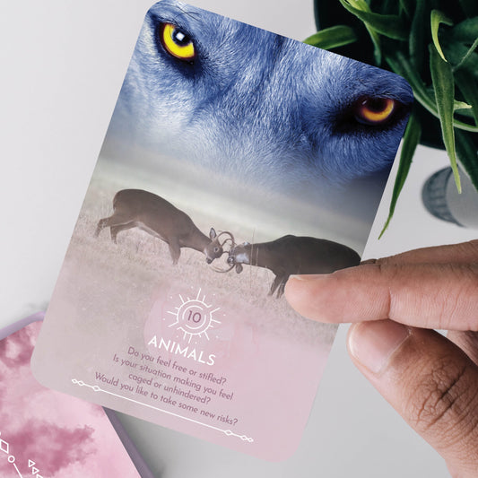 Dream Reading Cards Walkthrough