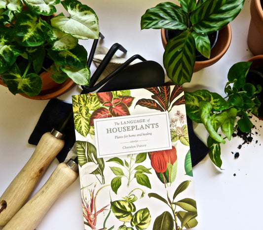 The Language of Houseplants hits Top Ten!