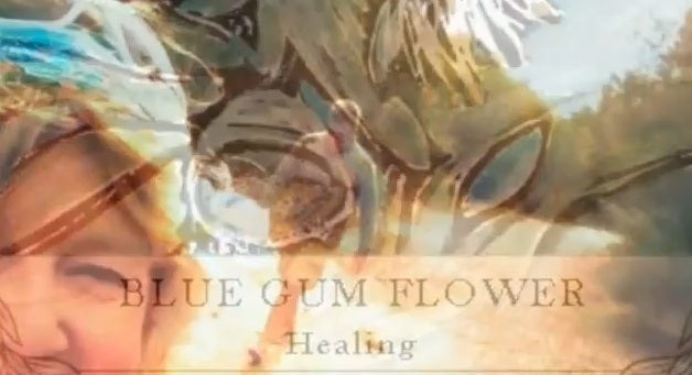 Australian Wildflower Reading Cards Video Blog
