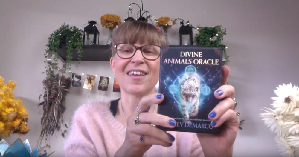 Divine Animals Oracle Walkthrough | Shuffle Tarot