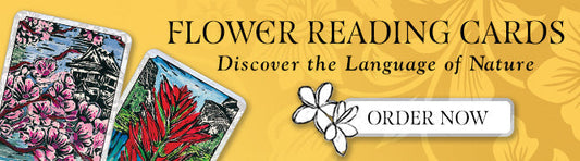 Flower Reading Cards -Review