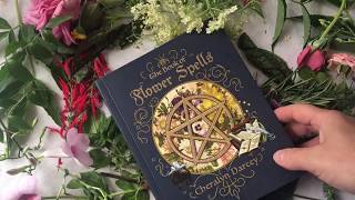 First Reveal of the latest Spellbooks by Cheralyn Darcey