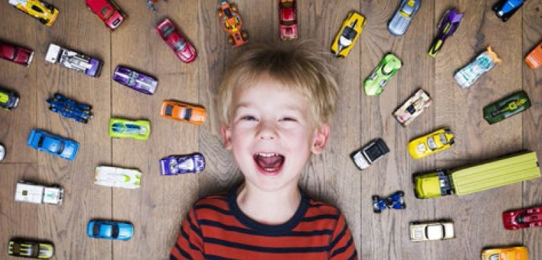 The Toddler Owner's Manual