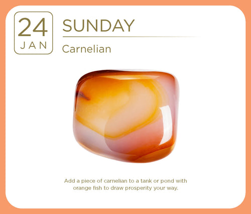 Carnelian stone with a date and text on a white background