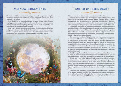 Instructions for using diary with a decorative cover featuring a moon and nature elements.