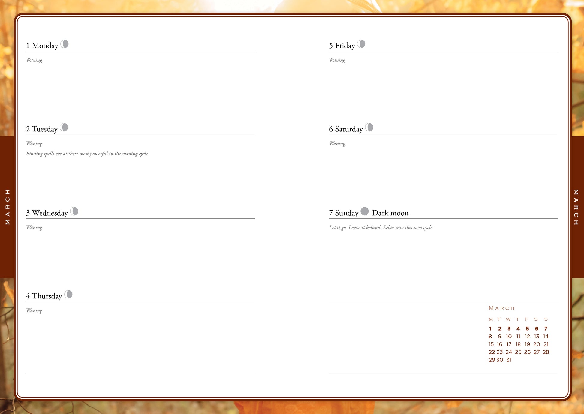 Weekly planner with days of the week and notes on a wooden surface