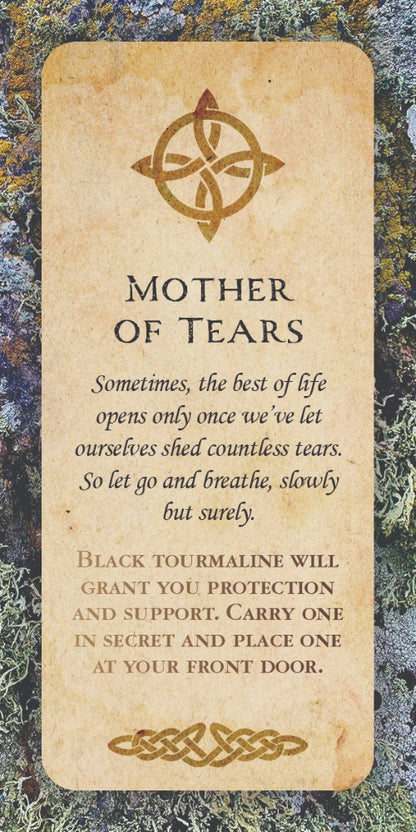 Druid Wisdom