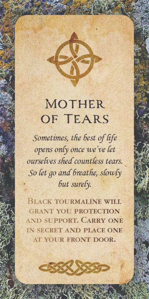Druid Wisdom