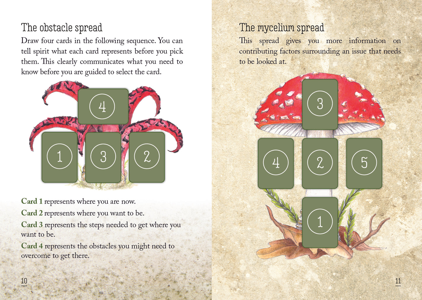 Mushroom Spirit Oracle