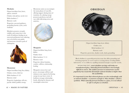 Practical Guide to Magic in Nature