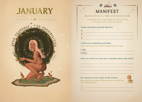 2027 Manifest Your Dreams Planner Calendar