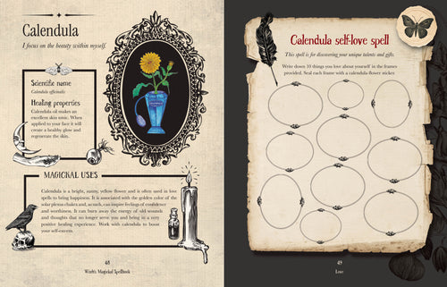 Witch's Magickal Spellbook