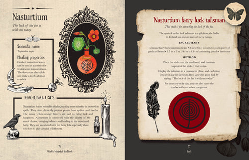 Witch's Magickal Spellbook