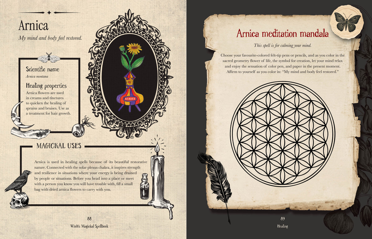 Witch's Magickal Spellbook