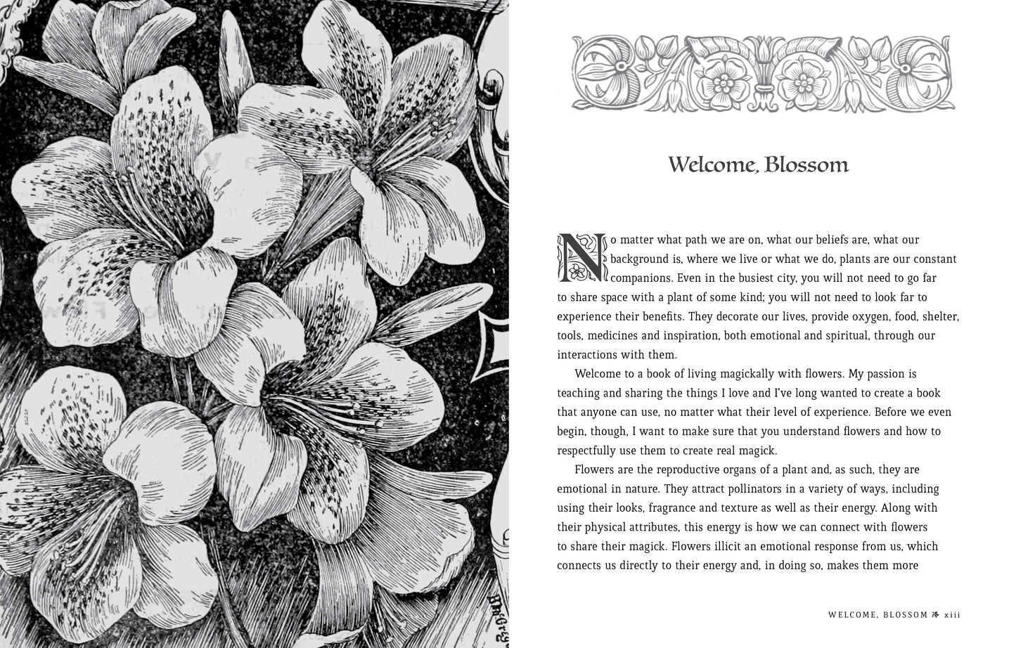 Book of Flower Spells