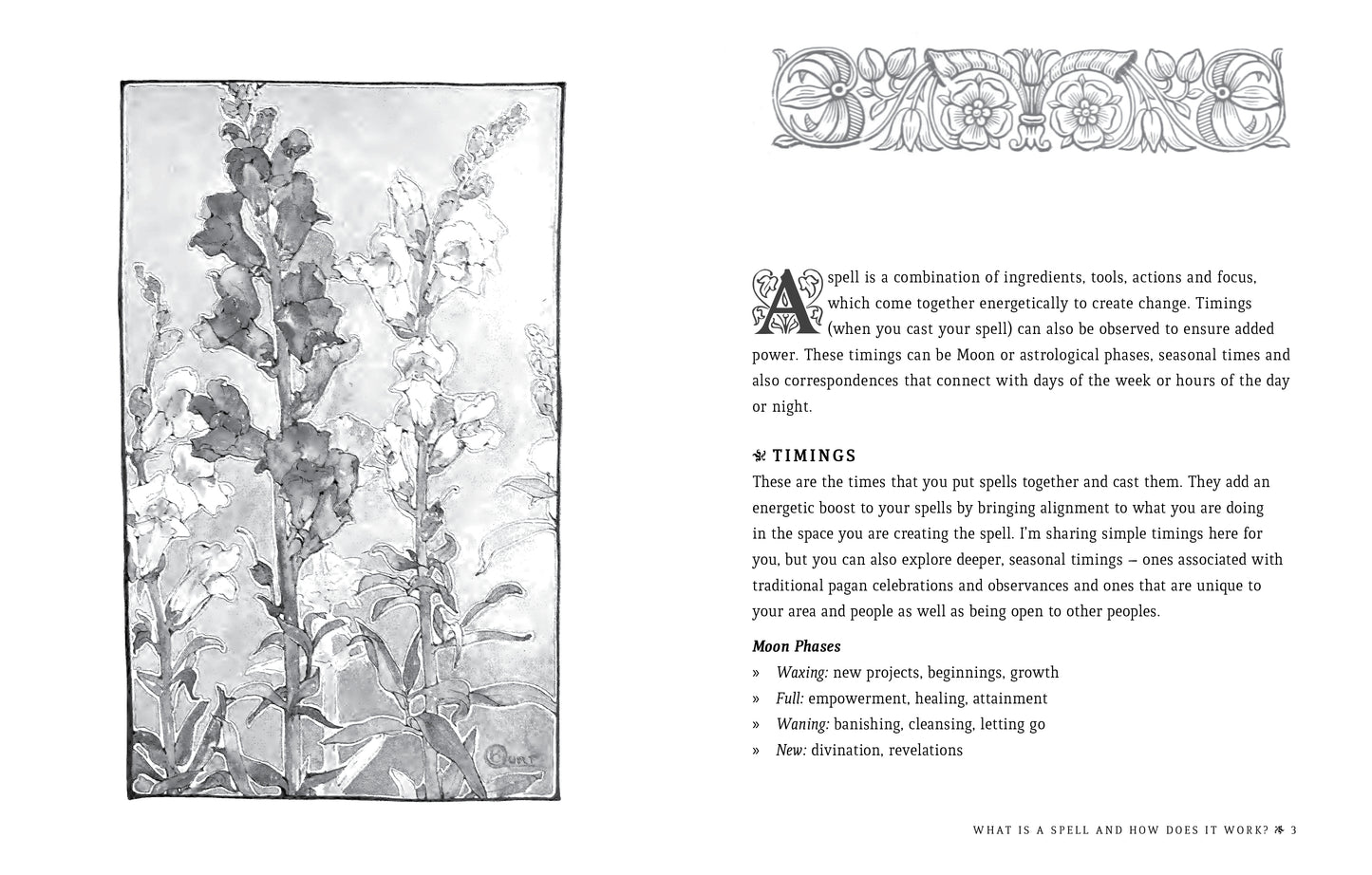 Book of Flower Spells