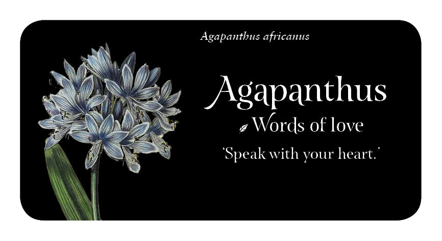 Language of Flowers
