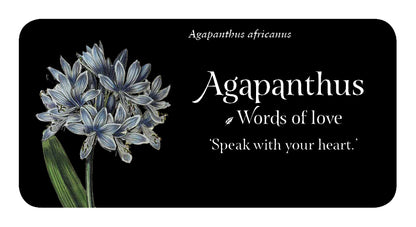 Language of Flowers