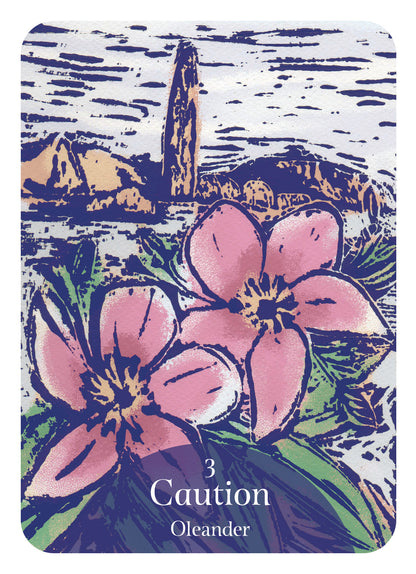 The Language of Flowers Oracle