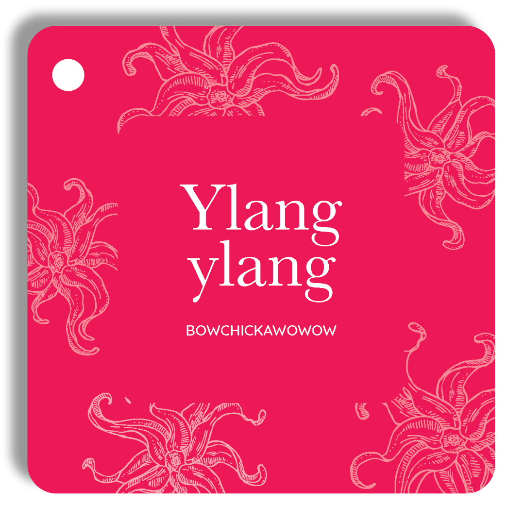 Essential Oil Cards- The Everyone Edition