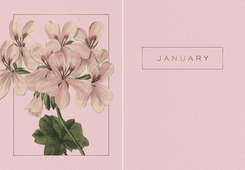 Floral design with 'January' text on a pink background