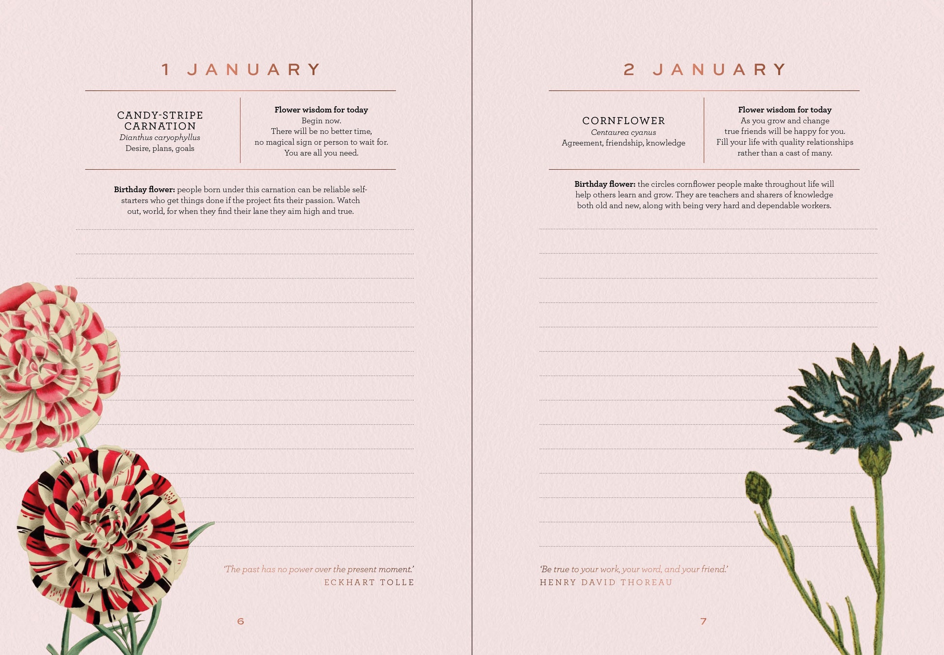 Floral-themed calendar with illustrations of flowers on a light pink background