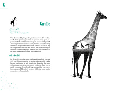 Illustration of a giraffe with text on a white background