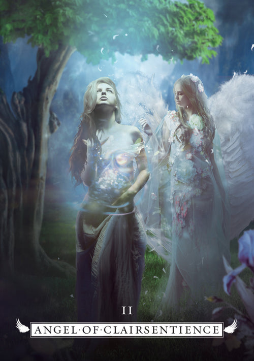 Two figures, one with a glowing chest and another with angelic wings, in a mystical forest setting.