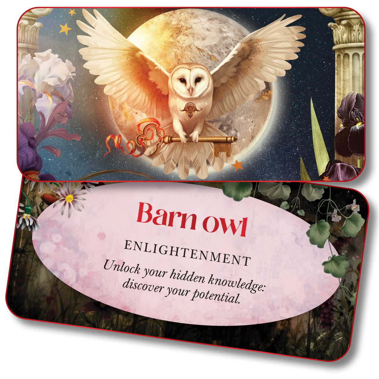 Card with a barn owl illustration and text about enlightenment on a decorative background.