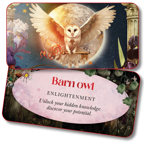 Card with a barn owl illustration and text about enlightenment on a decorative background.