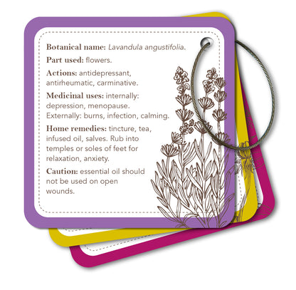 Card with lavender botanical information and illustrations on a white background