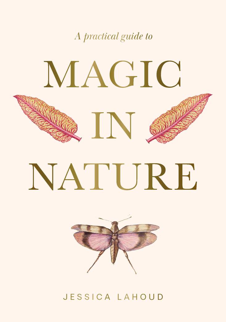 Book cover of 'A Practical Guide to Magic in Nature' by Jessica Lahoud with illustrations of a dragonfly and feathers on a white background.