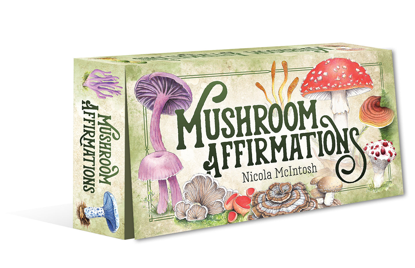 Book titled 'Mushroom Affirmations' by Nicola McIntosh with colorful mushroom illustrations on a white background.