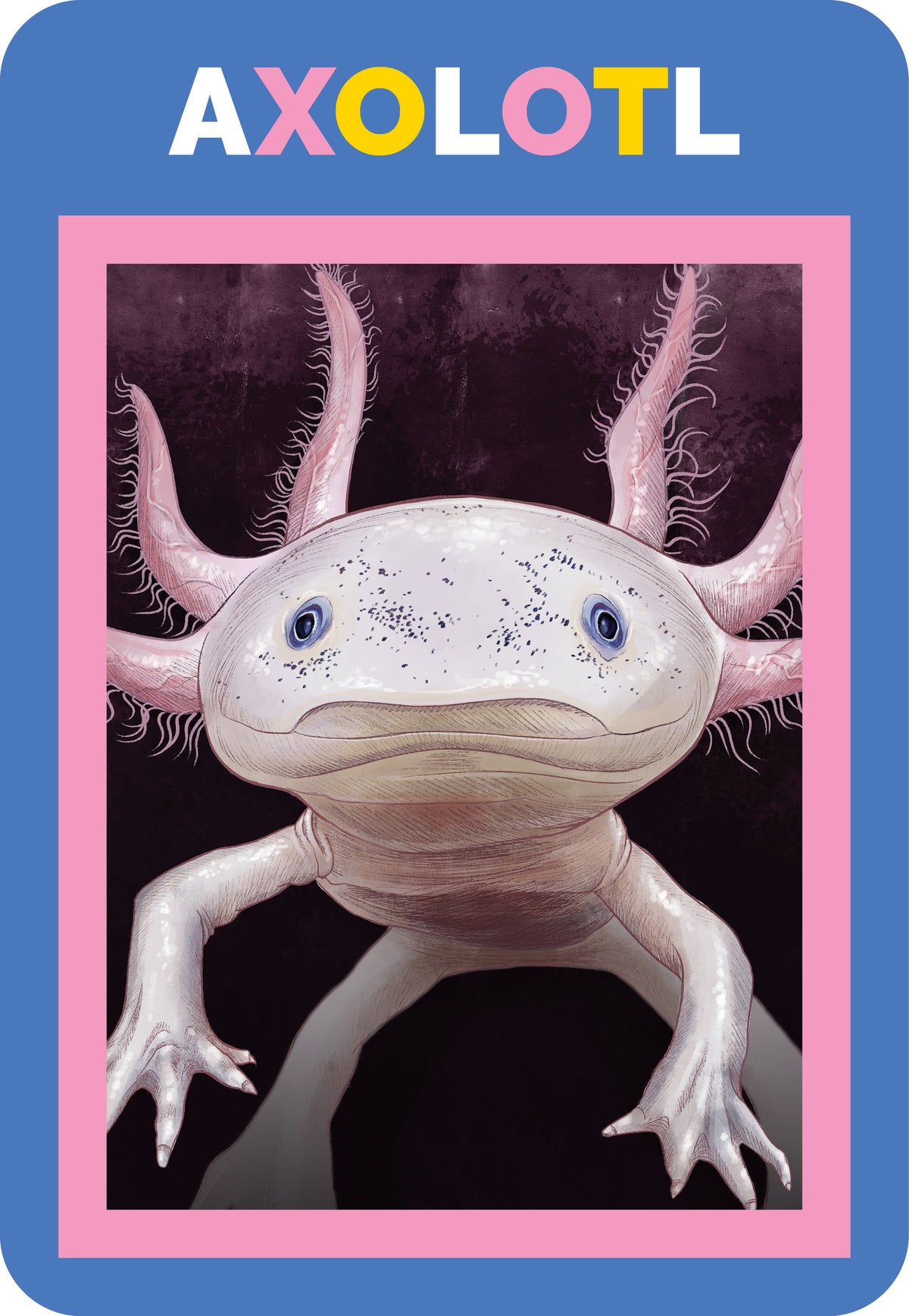 Axolotl illustration with a blue border and 'AXOLOTL' text at the top.
