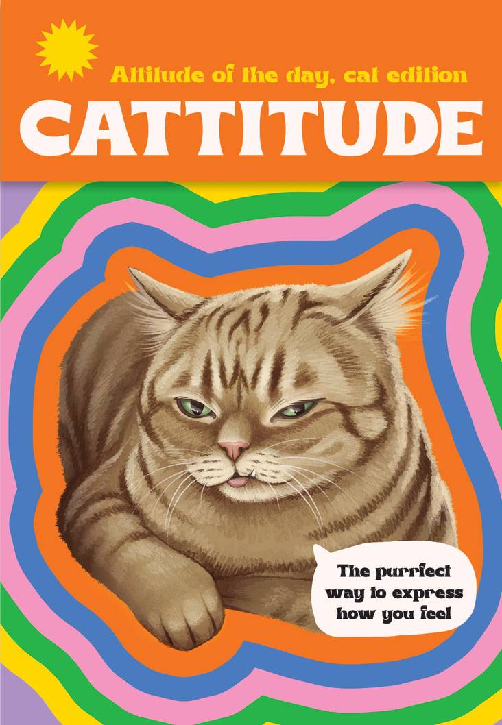 Cartoon cat with colorful text and design on an orange background