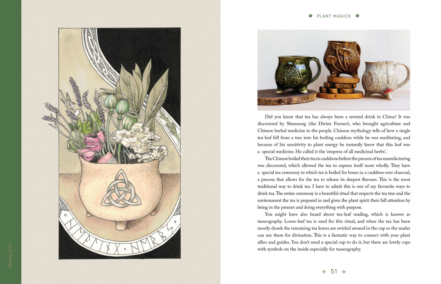 Book open to a page with illustrations of plants and a pot, and text on plant magic.