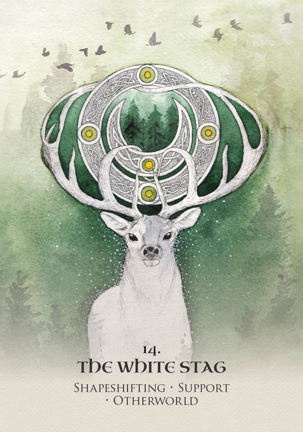 Illustration of a white stag with intricate antlers against a green background